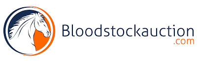 Bloodstockauctions.com.au